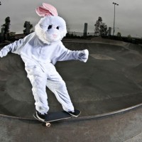 skateboarding magazine