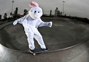 skateboarding magazine